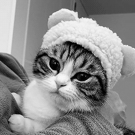 crying&ndash;is&ndash;okay: