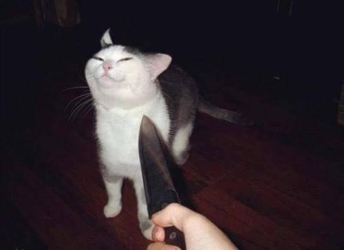 ruiojousama:When it’s been ten years and you still managed to slip vegetables in the returning King’s meal—-