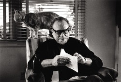 hiphop-in-the-brain:  Charles Bukowski