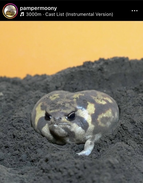 Oh God Oh Fuck He Comin