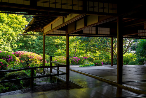 ourbedtimedreams:ツツジ - 詩仙堂 丈山寺 ／ Shisendo - Jyozan-ji Temple by Active-U on Flickr.
