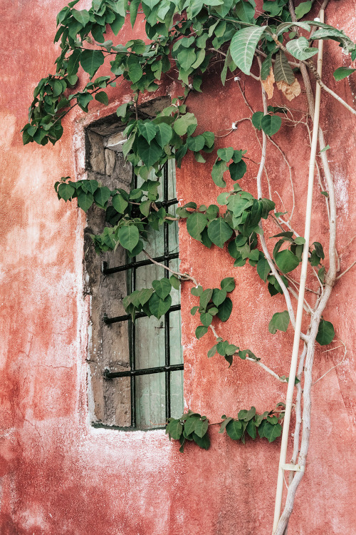 Old window, Athens - GreeceGREECE