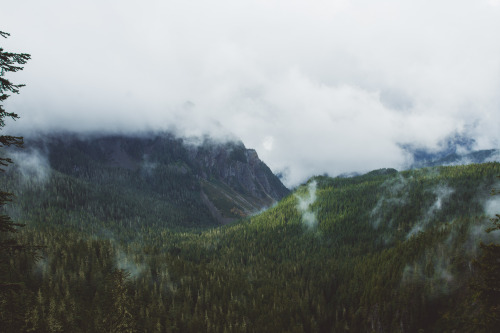 Misty Landscape