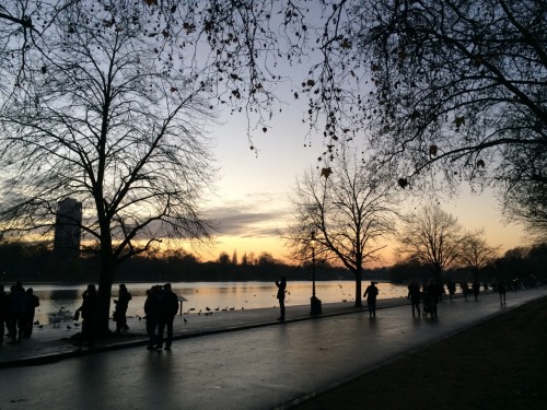 justsouthoftheriver:Sunset in Hyde Park