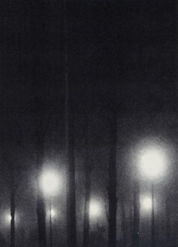 rudygodinez:  Lena Grass, Untitled Photograph from her Series, “Nachtigall” (2012) 