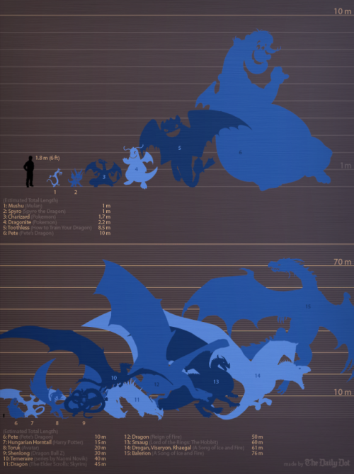 dailydot:  An Illustrated Guide to the Biggest Dragons in Fantasy How does Balerion the Black Dread stack up against Smaug? We did the dragon math. Click through for a full-size version.