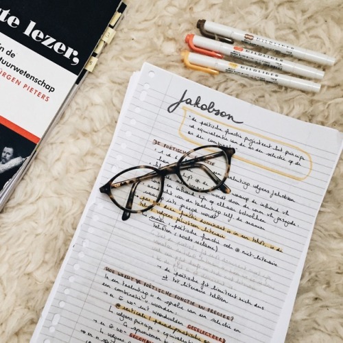 linceestudies:Sunday 28•01•2018 // 3:15 pmSome more genaral literature notes… The exam was yesterday