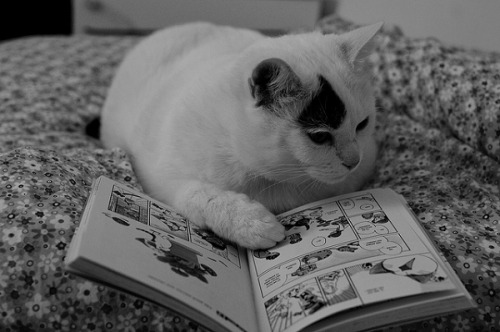 Music, Arts & Literature