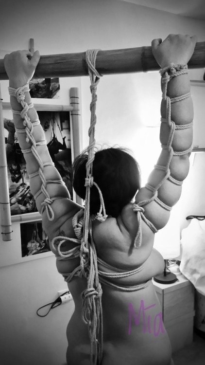 Sex SHIBARI pictures