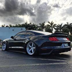 musclefords:  #ford#Mustang#SVT tag–&gt; #American_muscle_mustangs / owner @brian_vossen / that stance 👌👍
