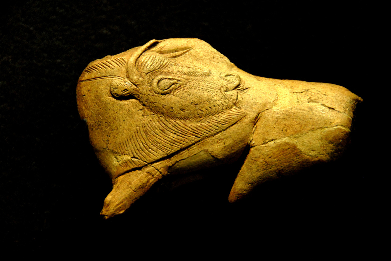 Bison licking insect bite - prehistoric carving, Upper Paleolithic. Created sometime between 20 000 and 12 000 years ago