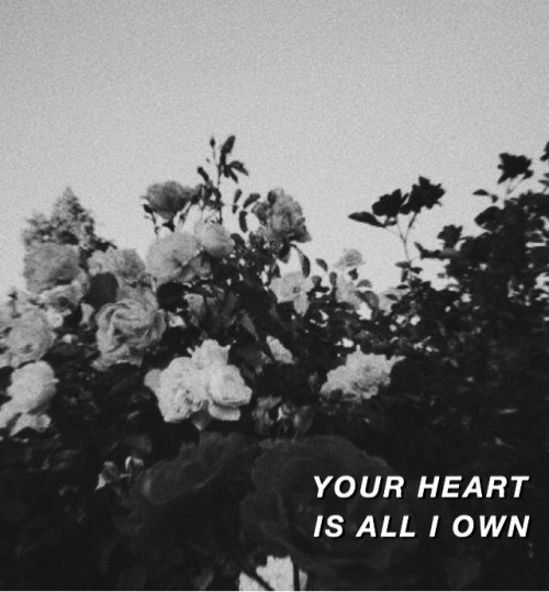 Perfect // Ed Sheeran