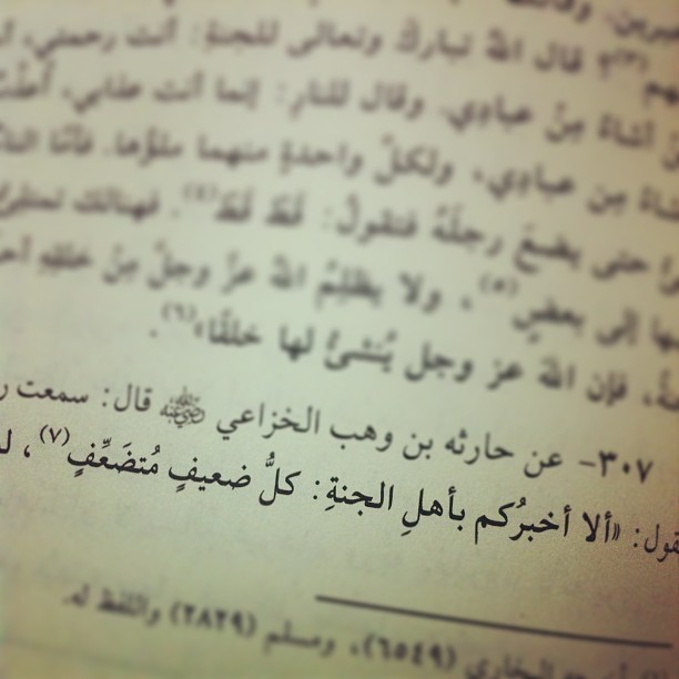 حياة خفيفة