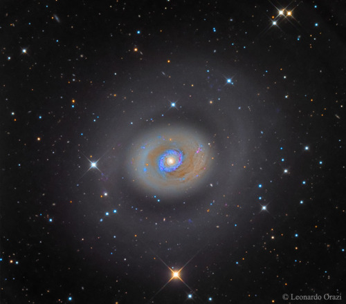 just–space:Starburst Galaxy M94 : What could cause the center of M94 to be so bright? Spiral g