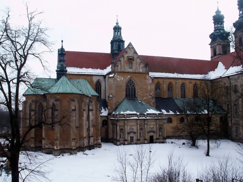 Lubiąż Abbey (est. 1175).