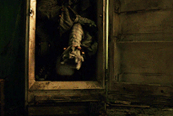 Greensarrow:  Time To Float.