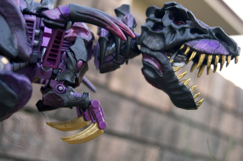 kyuofcosmic:TOMY Bio-Tyranno; Subis Mogul edition.Buoyed by the recent success with my Bio Megarapto