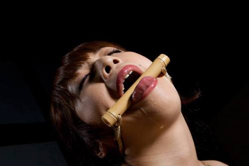 The Art Of Kinbaku