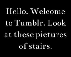 victoryshallbeminehahahaha:  i warned you about stairs bro 