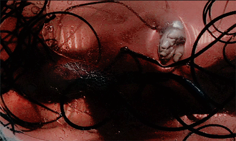 killingbill:get to know me meme: favourite movies [2/5]  ──  the matrix I know why you’re here, Neo.