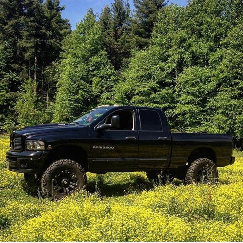 americancoalrollers:  @logan_corn