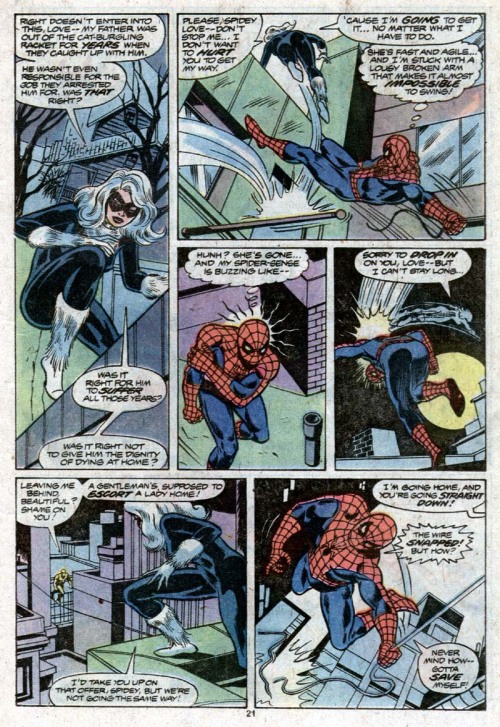 hellzyeahthewebwieldingavenger: Spider-Man vs. the Black Cat Amazing Spider-Man #195