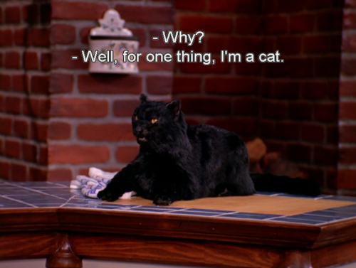 salem saberhagen