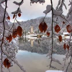 rosiesdreams:  Bled Lake in winter .. By