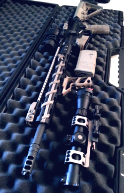 Cerebralzero:  Herewefindaway:  All Clean Again. My One And Only Rifle Setup. Will