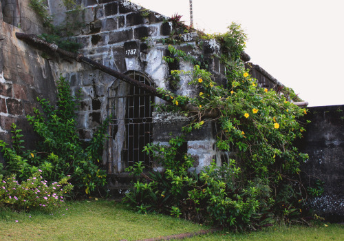 caribbeancivilisation:glasshalfdelicious:Fort Frederick, Grenada.