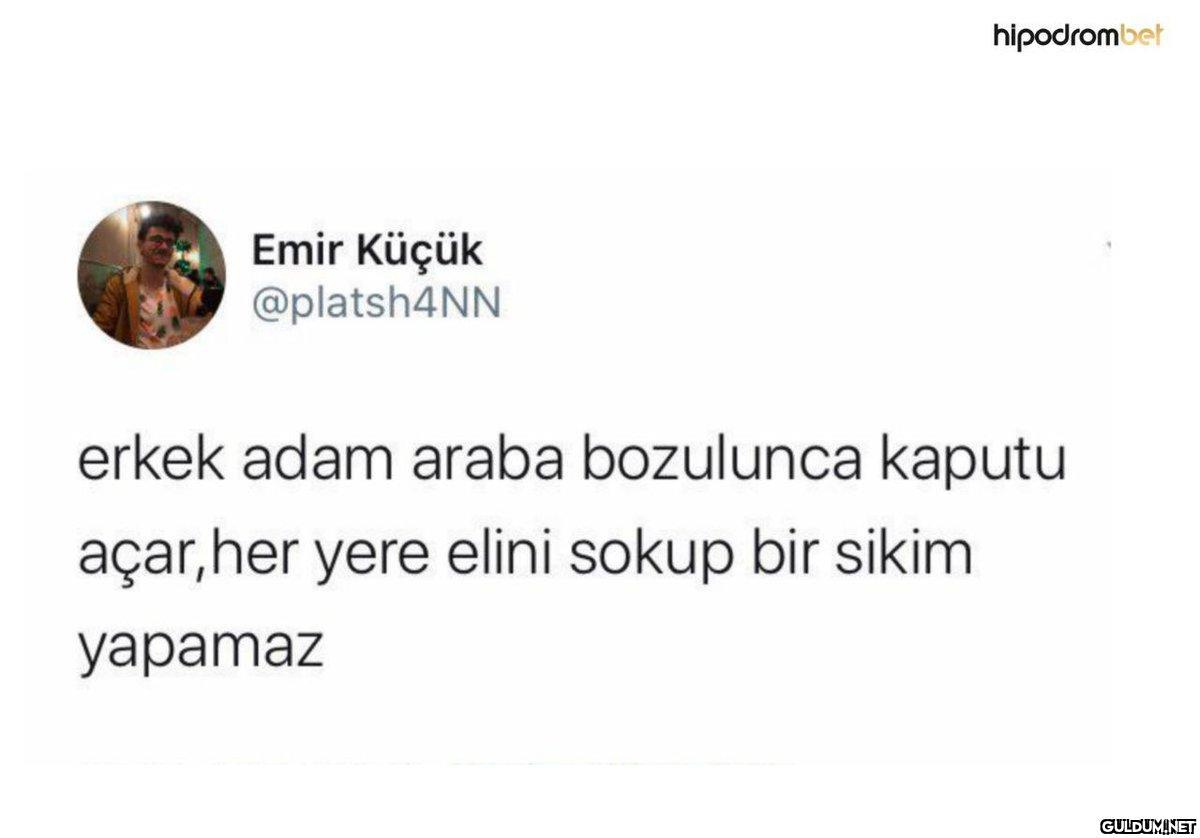 Emir Küçük @platsh4NN...