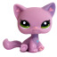 50millionpurplecats