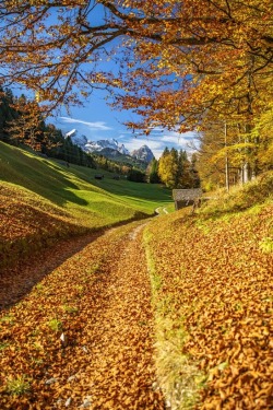 renamonkalou:  Autumn Landscape |  Achim Thomae