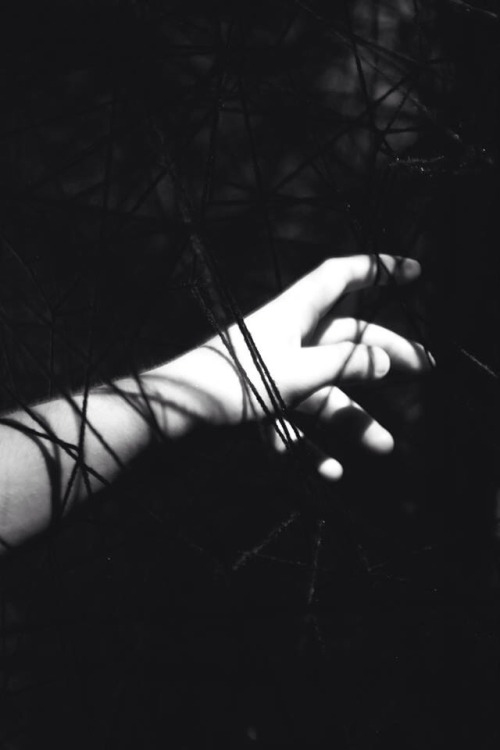 pulchrit-udinous:  Photographer: me  Please do not remove credit 