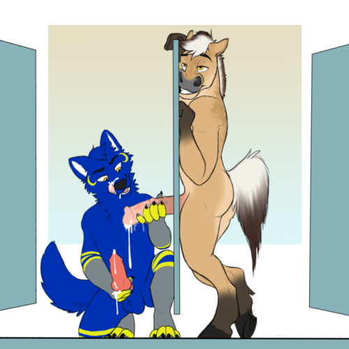 hotline-yiff: Fjord Horses [x] [x] [x] [x] [x] [x] [x] [x] [x] [x]