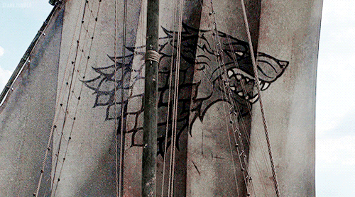 sansas: House Stark symbols in Game of Thrones 8x06: The Iron Throne