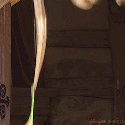 disneyenchanted:Two friendships: Rapunzel and Pascal