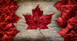 Curvalicious77:  Happy Birthday Canada! 🍁 Keeping It Classy This Canada Day ❤️