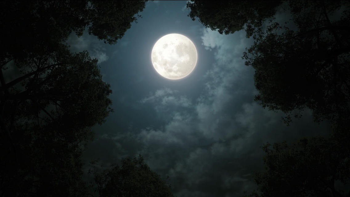 verschieden โ Demon Slayer has such stellar scenery๐