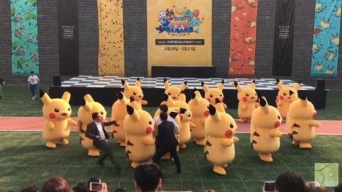 pkmncoordinators: toasty-coconut: Honestly, the best things to come out of this deflating Pikachu in