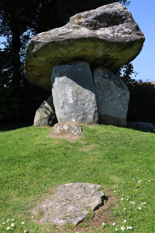 Carreg Coetan Arthur Burial Chamber, Pembrokeshire, 5.5.18.These stones are all that remain of a cha