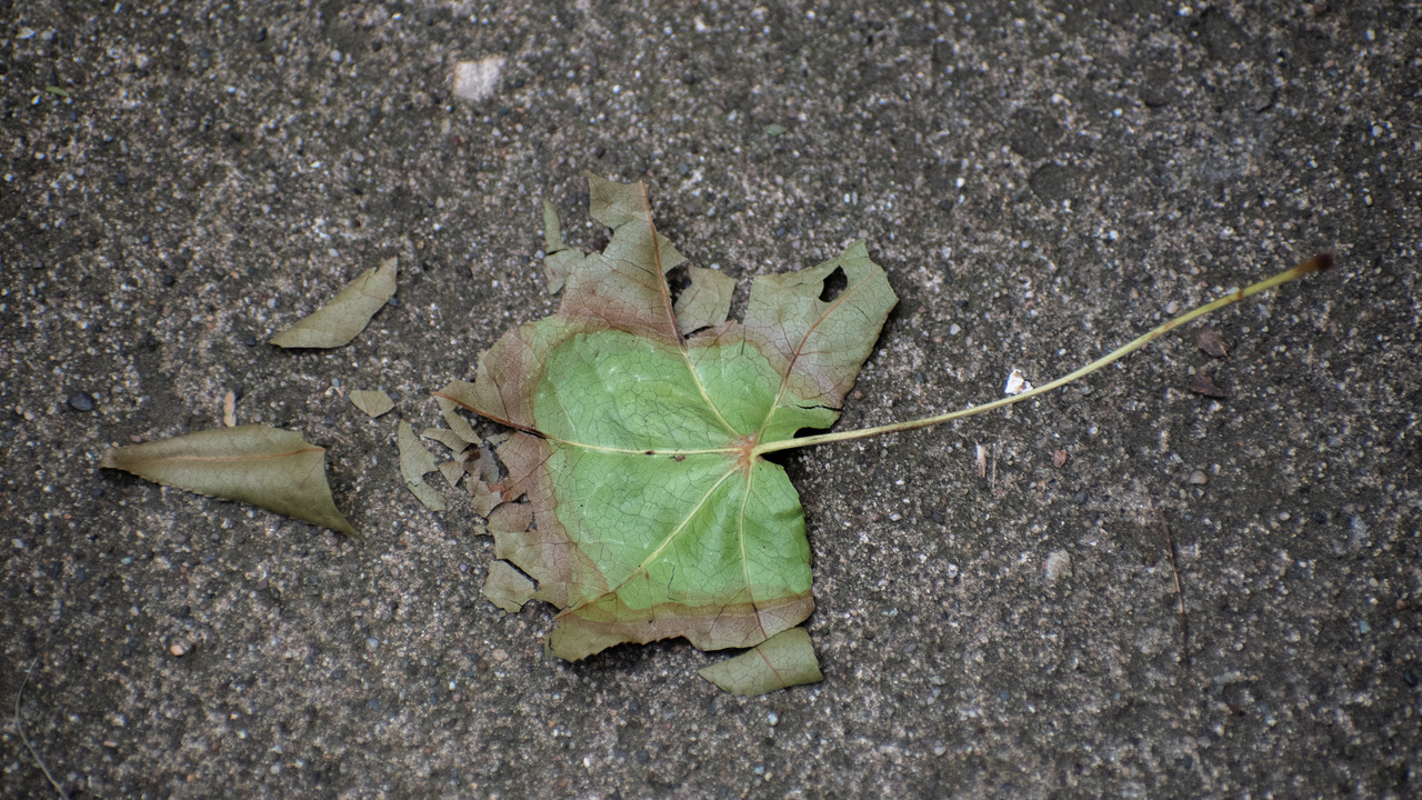 Tumblr Photo