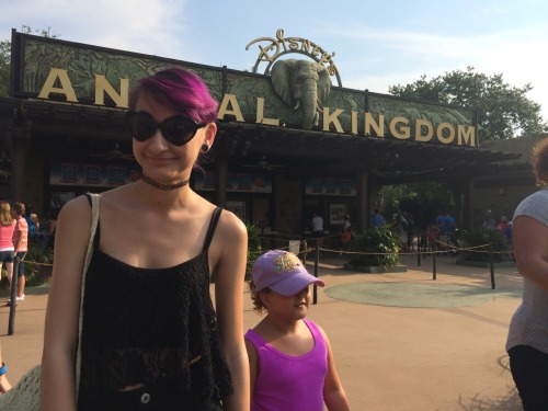 c-atty:  A while back I went to Animal Kingdom. And I just had to do it.