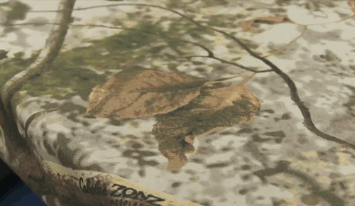 prostheticknowledge:Colour Changing CamouflageAmerican outdoor wear retailer Cabela has developed a 