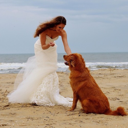 A beach shoot showing the latest @estuartbride 2015 collection now on the blog. Link in Profile. #el