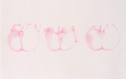 Ismaelguerrier:  “Soft Pink #11”  (Color Pencil On Paper) 