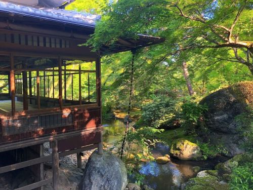 宝厳院庭園“獅子吼の庭” [ 京都市右京区 ] Hogoin Temple Garden, Kyoto の写真・記事を更新しました。 ーー嵐山の借景の美しい策彦周良作庭の紅葉の名所“獅子吼の庭”…は実