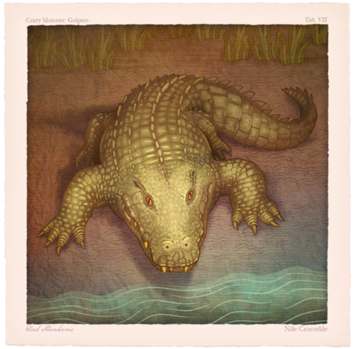 Another set of ‘animal portraits’ for a Smithsonian Channel documentary from the Cr
