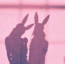 omgrosecolouredglasses:  🐰