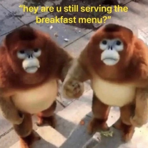 This Just Made Me Shed A Tear. They Want The Breakfast Menu I Am So Sensitive